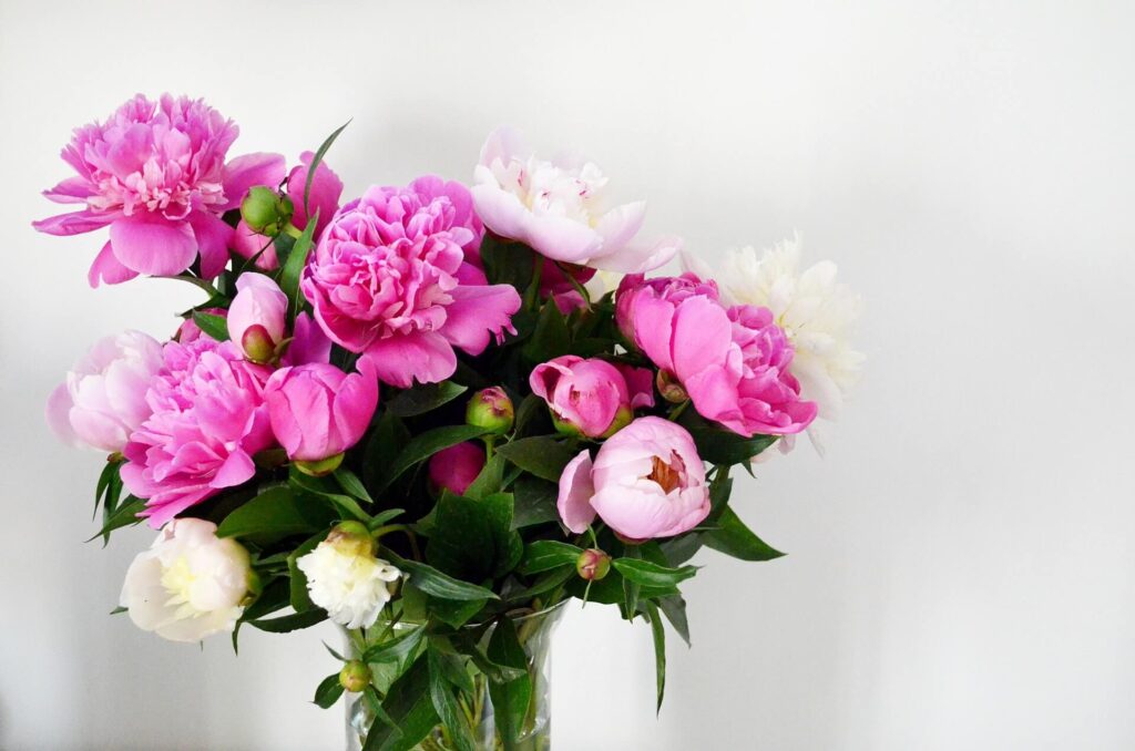 skicka blommor till begravning - begravningsblommor