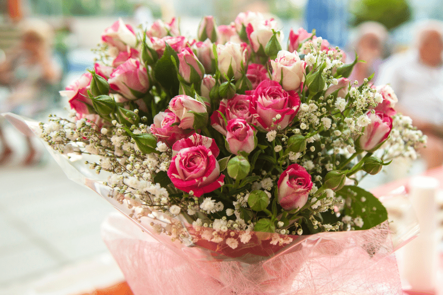 överraska din kärlek i världen med växter  - Skicka Blommor Alla Hjärtans Dag