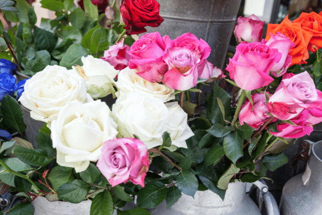 Kalmars blommor lördag söndag billig blomma vide rosor tulpan - skicka blommor till sjukhus