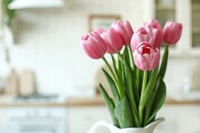 skicka blommor med blombud vita tulpaner - samma dag till Kalmar
