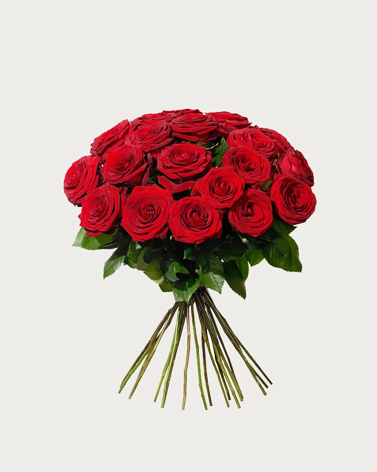 interflora skicka 20 röda rosor skicka blommor blombud
