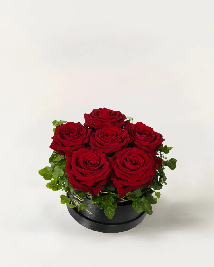 interflora skicka blommor Klippan box med röda rosor du beställer online