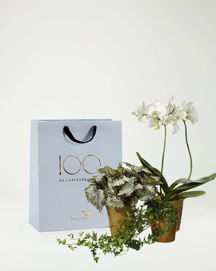 interflora skicka blommor Mölndal beställ krukväxter med leverans samma dag