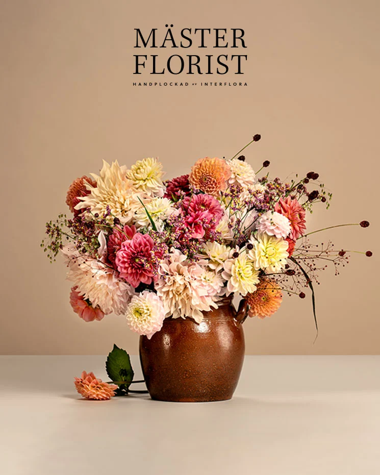 interflora skicka blommor Solna underbar blombukett med dahlior - blommor som ger en färgsprakande känsla